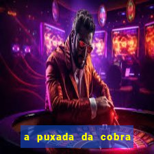 a puxada da cobra no jogo do bicho